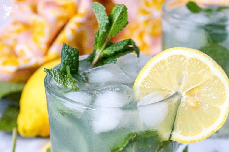 Lemon Mojito Mocktail