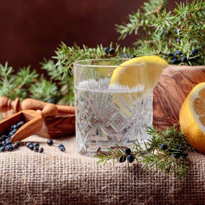 Glass of gin and tonic with lemon, juniper berries, and greenery