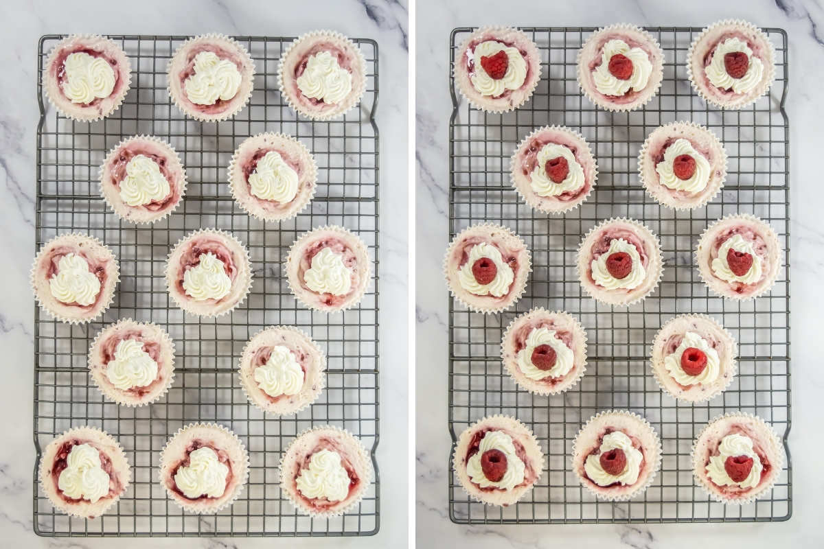 Quick and Delicious Mini Raspberry Cheesecakes for Any Occasion