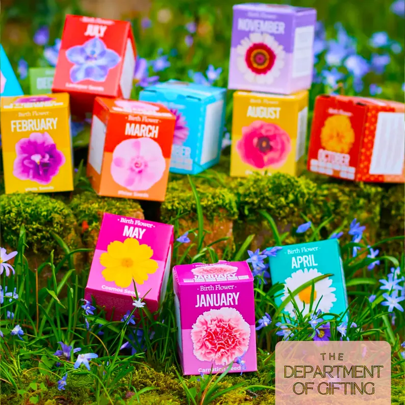 Colorful DIY flower seed starter sets, perfect for eco-friendly birthday presents and unique birth month gifts.