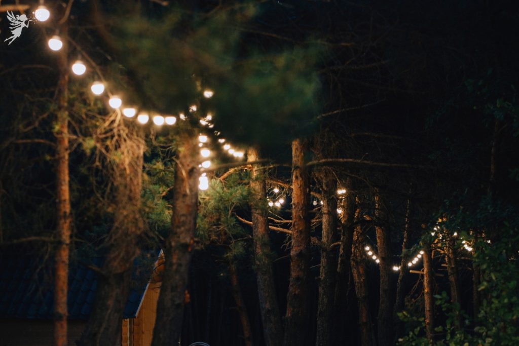 ambient lighting in trees to make it easy to find the toilet at night