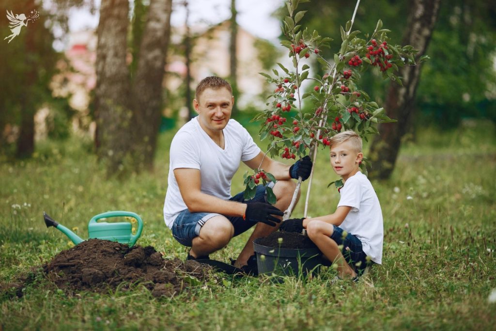 fathr and son planting a tree in the garden