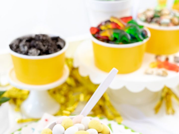 Dinosaur Ice Cream Bar