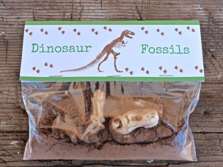 Dinosaur Dig Snack