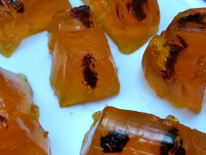 Dino DNA Jurassic Amber