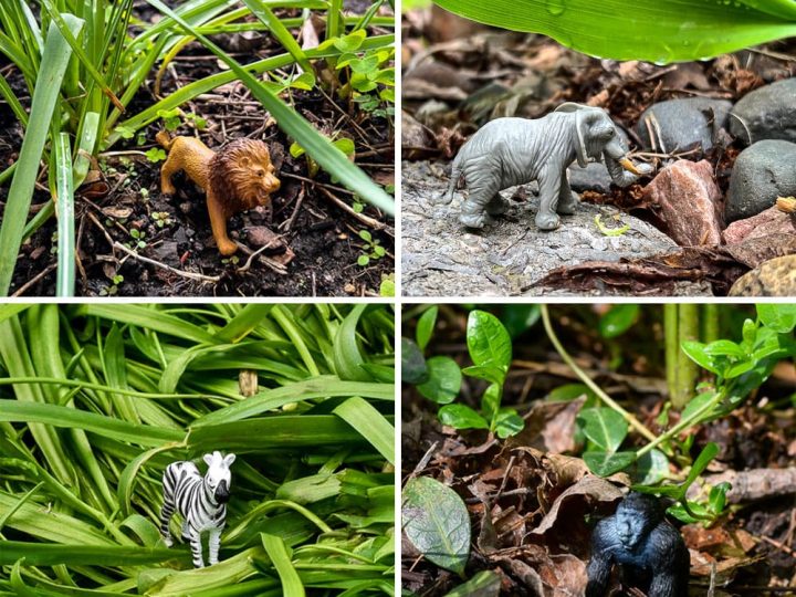 Hidden plastic safari animals including a lion, elephant, zebra, and gorilla for a backyard safari party activity