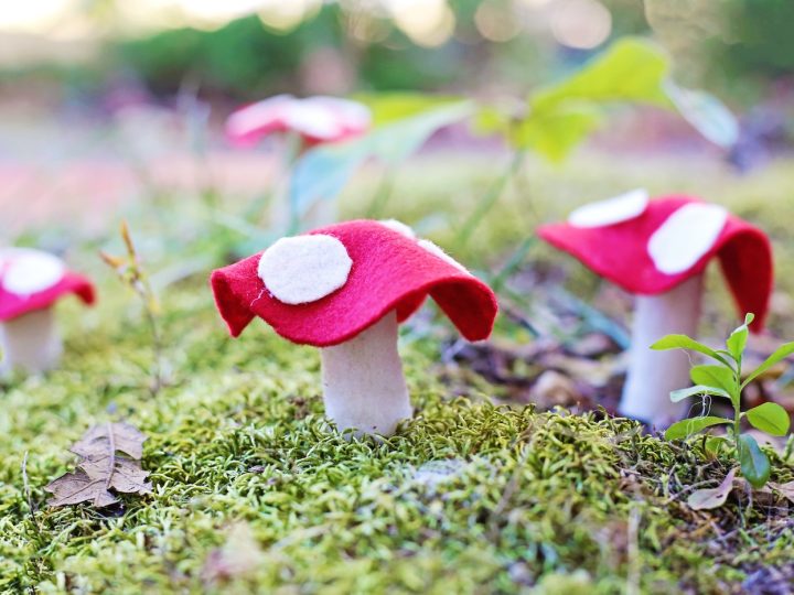 Adorable red and white felt mushrooms nestled in green moss, a no-sew fairy party crafts and activities project for all ages.