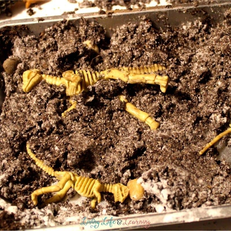 Plastic dinosaur skeleton fossils buried in dark soil inside a metal tray for a dino dig party activity