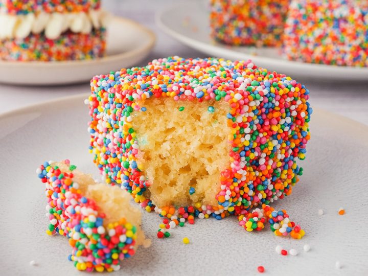 Fluffy vanilla lamington cake square coated in rainbow sprinkles with a bite taken out — a fun and colorful fairy party food idea kids will love.