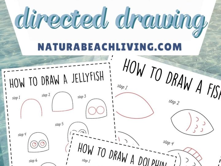 Printable step-by-step directed drawing instruction sheets for jellyfish, fish, and dolphin ocean animals