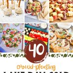 collage of savory snack food ideas with text overlay crowd-pleasing lake day cold food ideas that will keep all day in a cooler