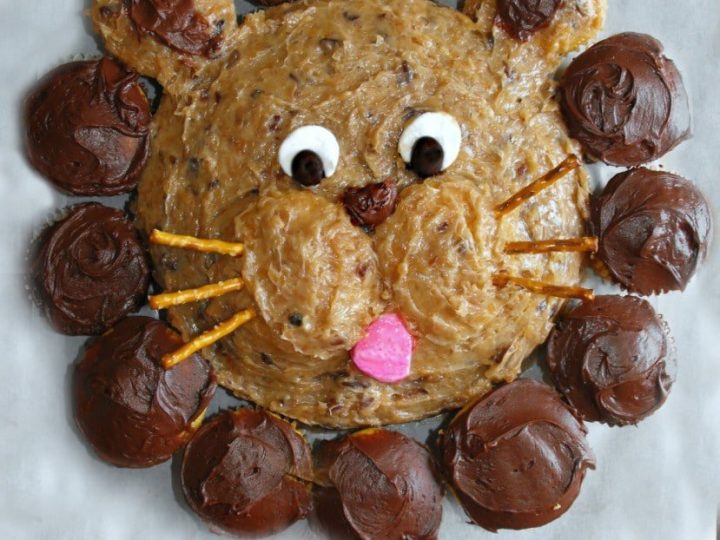Round lion cake surrounded by chocolate cupcakes forming a mane, a classic safari animal party food idea for birthdays