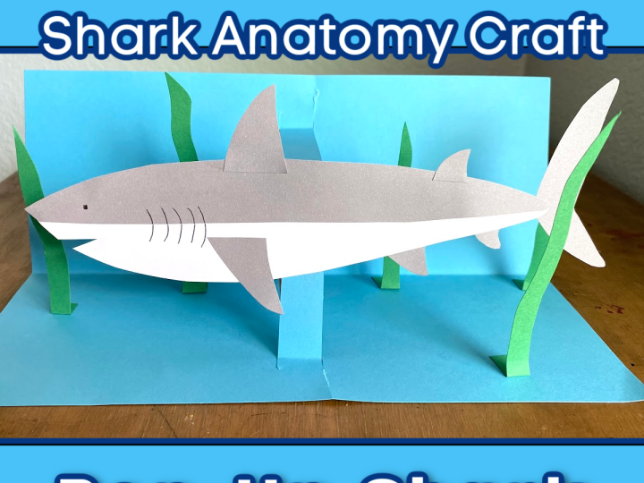 A three-dimensional pop-up paper shark craft with green seaweed elements on a blue ocean-themed background