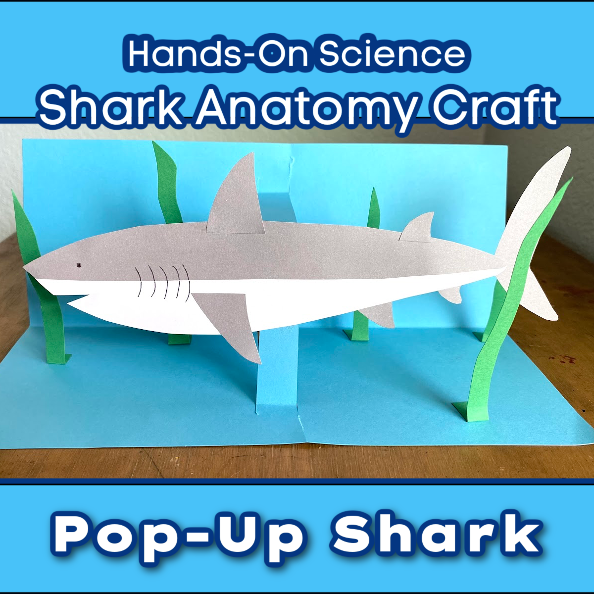 A three-dimensional pop-up paper shark craft with green seaweed elements on a blue ocean-themed background