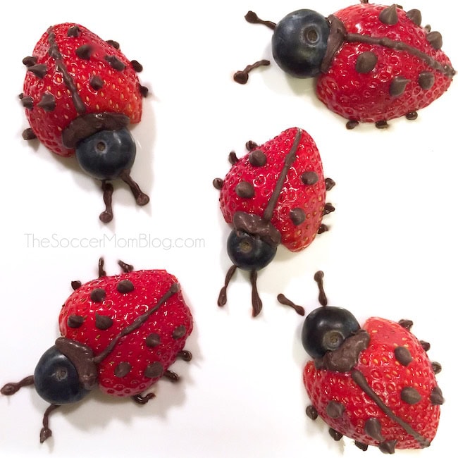 Strawberry ladybugs decorated with blueberry heads and chocolate chip spots arranged on a white surface — an adorable and healthy fairy party food idea for kids.