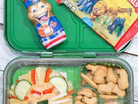Zoo-themed bento box lunch with a flatbread lion face, animal crackers, and fresh fruit, a creative safari animal party food idea for kids