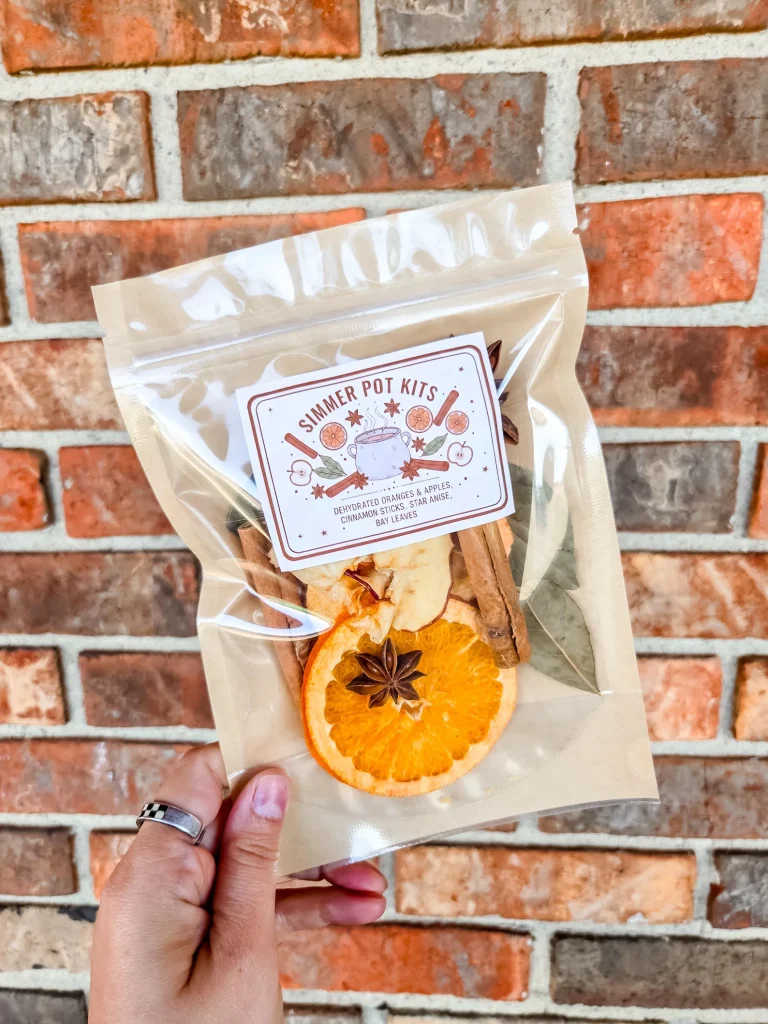 Hand holds a Fall Simmer Pot Kit with dried oranges, apples, cinnamon sticks, star anise, and bay leaves—a cozy, fragrant choice among Thanksgiving party favors.