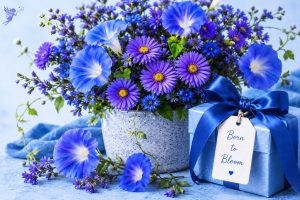 display of aster flowers and sapphire wrapped gift for September