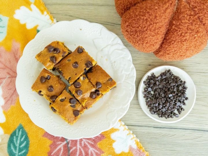 Chocolate Chip Pumpkin Bars