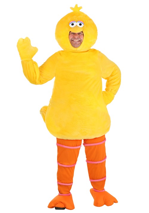 Plus Size Sesame Street Big Bird Adult Costume - halloweencostumes.com